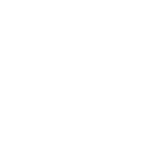 Custom-made cables and leads